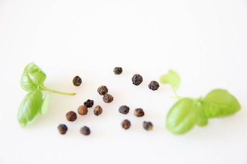 Green basil and black pepper on white background. 