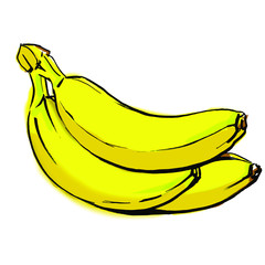 Bananas brunch hand drawed vector
