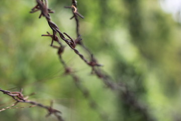 barbed wire fence