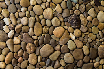 wall of sea stones