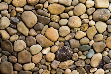 wall of sea stones