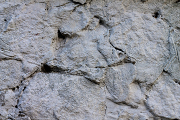 cement old wall