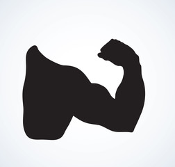 Fist and biceps. Vector drawing
