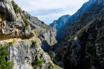 Gorges de cares