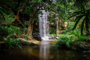 Naklejka premium Beautiful waterfall in the jungle