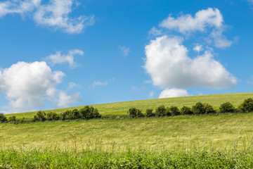 Fields and Clouds