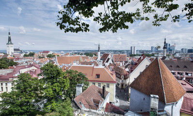 Panoramic view of Old Tallinn city from Kohtuotsa viewing platform, Estonia