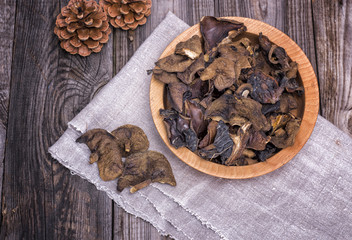 dry forest edible mushrooms