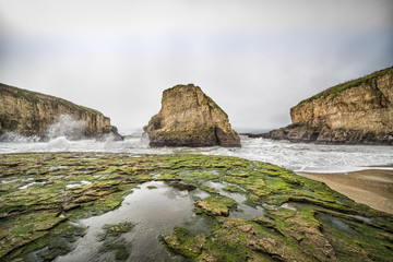 Shark Fin Cove