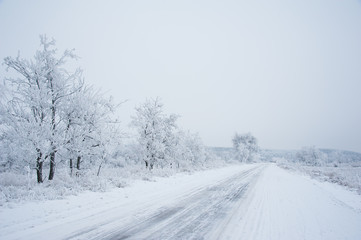 Dirt road in the forest in winter