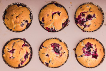 prepare homemade muffins in the form of baking
