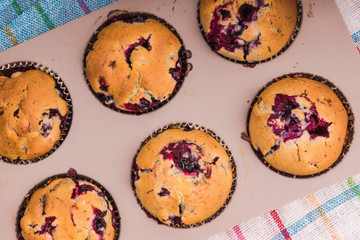 prepare homemade muffins in the form of baking