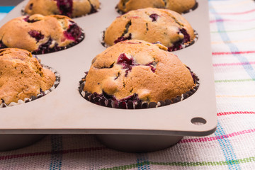 prepare homemade muffins in the form of baking
