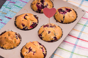Homemade muffins in the form of baking closeup