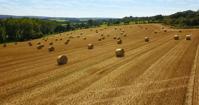 Hay bales on Brittany field