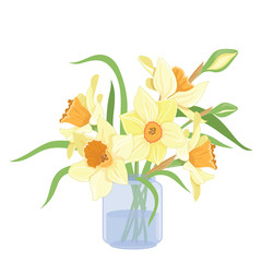 Bouquet narcissus in a vase isolated vector clipart illustration of spring narcissus flowers