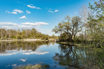 The bay of the river, in calm water reflects a blue sky with clouds, dry vegetation, a spring sunny day