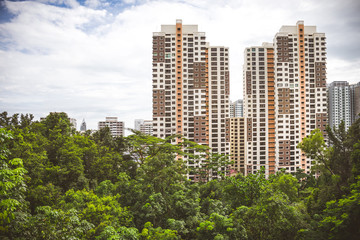 Obraz premium Singapore nature