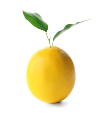 Fresh ripe lemon with leaves on white background