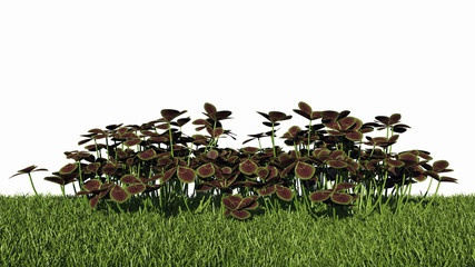 3d rendering of a horizontal seamless bushes