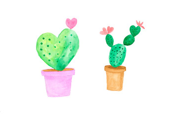 Watercolor painting, set of cactus in watercolor style on white background, art and design