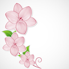 Elegant floral background with flowers lily. Element for design. Vector illustration.