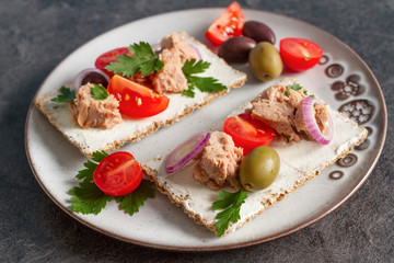 Cracker with tuna spread topping and vegetables