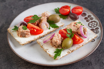 Cracker with tuna spread topping and vegetables