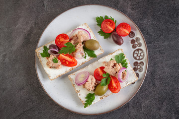 Cracker with tuna spread topping and vegetables