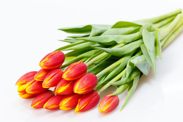 Bouquet of red tulips