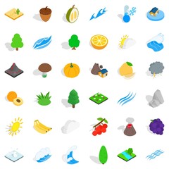 Forest mushroom icons set, isometric style