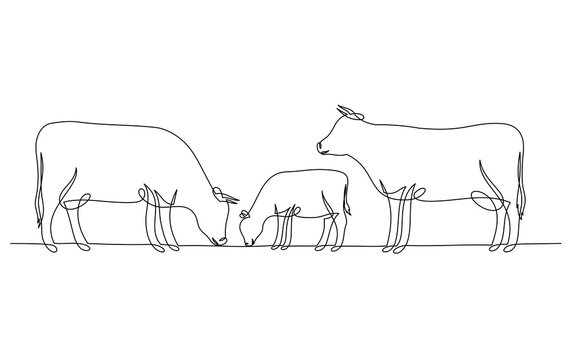 Continuous line drawing of cow and calf