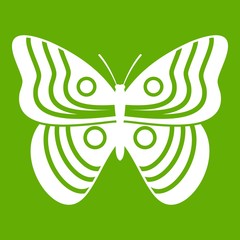 Stripped butterfly icon green