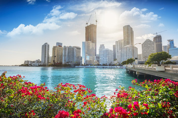 Naklejka premium Śródmieście Miami w piękny słoneczny dzień, Floryda, USA.
