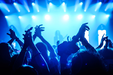 Fototapeta na wymiar Crowd raising hand in the air and enjoying concert on a festival
