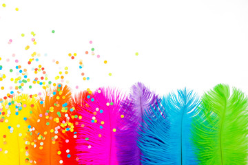 Bright colored feathers for a carnival costume. Color confetti. White background.