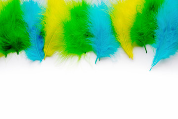 The feathers of birds are green, yellow and blue. White background. Feathers for the Brazilian...