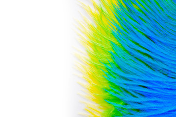The feathers of birds are green, yellow and blue. White background. Feathers for the Brazilian...