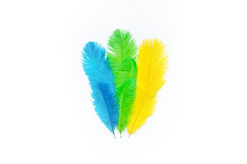 The feathers of birds are green, yellow and blue. White background. Feathers for the Brazilian...