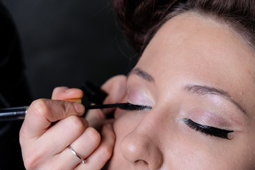 Makeup artist applies eye shadow. Beautiful woman face. Perfect makeup in pinup or pin up style