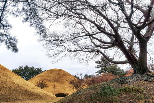 daereungwon tomb complex