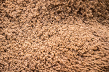 Camel hair