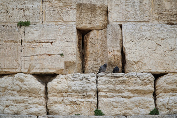 Jerusalem, Western wall, close up view of stones