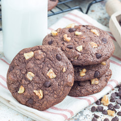 Homemade chocolate cookies with walnuts and chocolate chips on the table, served with milk, square format