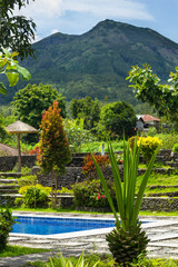 Obraz premium Thermal springs on foot of volcano Batur in Bali, Indonesia