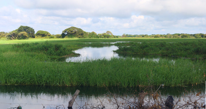 Esteros de Camagu&aacute;n