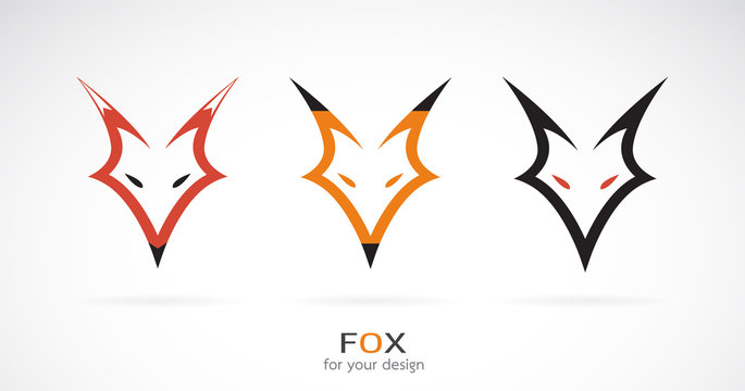 Vector of a fox head design on a white background. Wild Animals. Easy editable layered vector illustration.