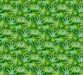 Marijuana leaves seamless vector pattern.