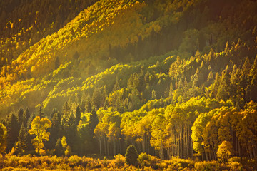 Telluride Autumn