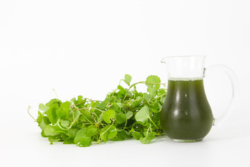 Gotu kola's leafs drink on white background